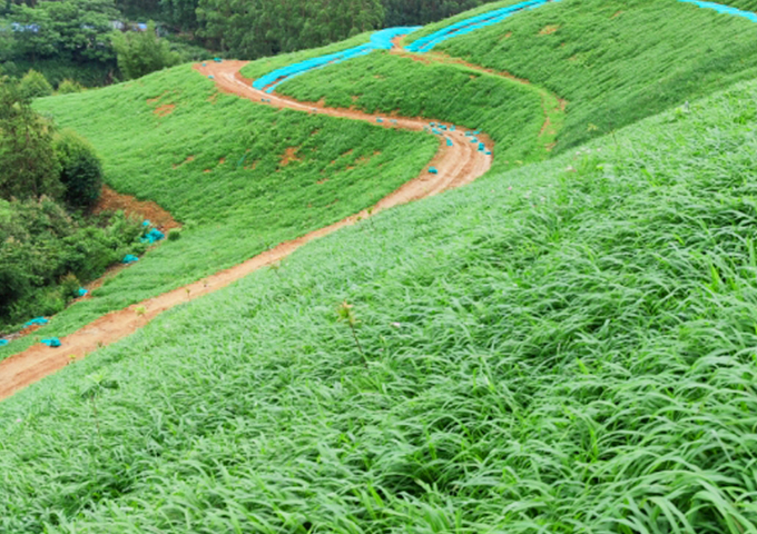 南嶺國家公園環(huán)丹霞山片區(qū)生態(tài)環(huán)境系統(tǒng)保護(hù)修復(fù)工程（湞江區(qū)煤矸石礦區(qū)遺址生態(tài)環(huán)境修復(fù)治理）設(shè)計、施工總承包