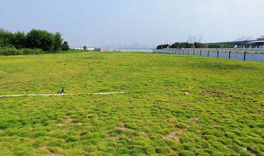 前海合作區(qū)鏟灣渠土地平整和軟基處理工程施工