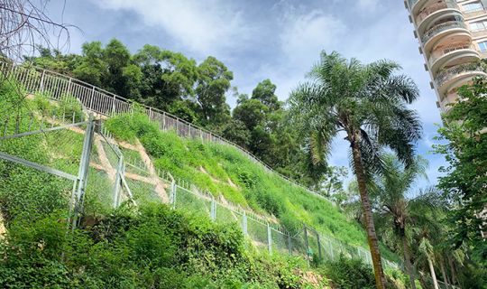 金湖山莊東側(cè)后山邊坡等邊坡治理工程（Ⅱ標(biāo)段）